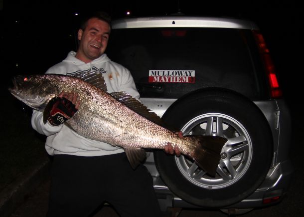 Sydney suburban mulloway – WAECO photo comp entry